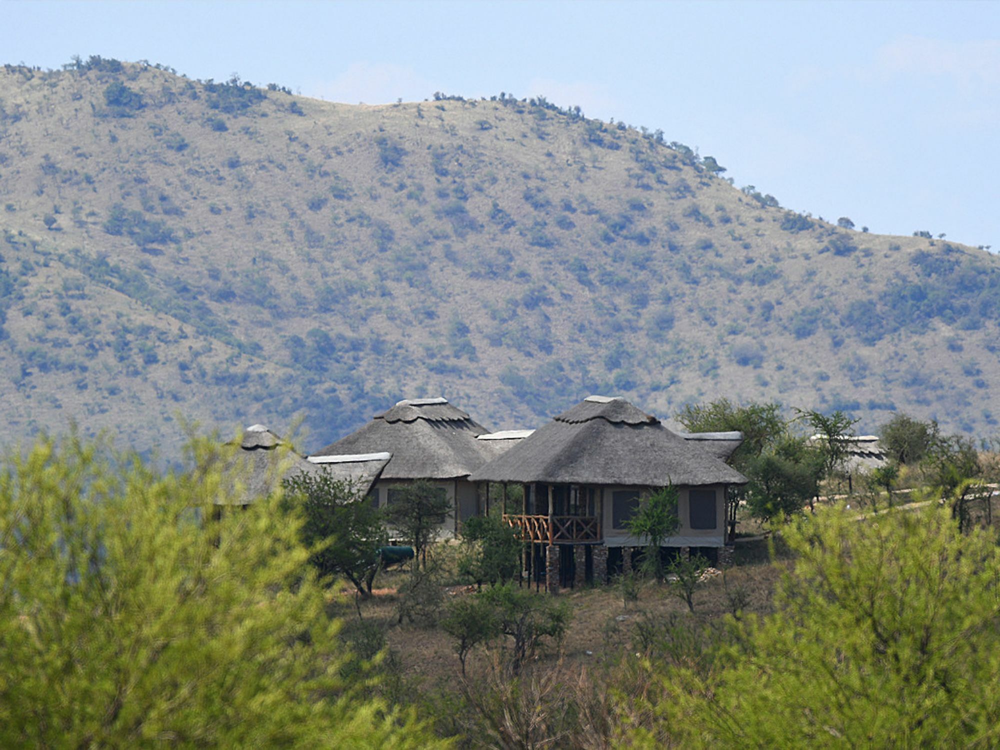 Serengeti Safari Lodge Bagian luar foto